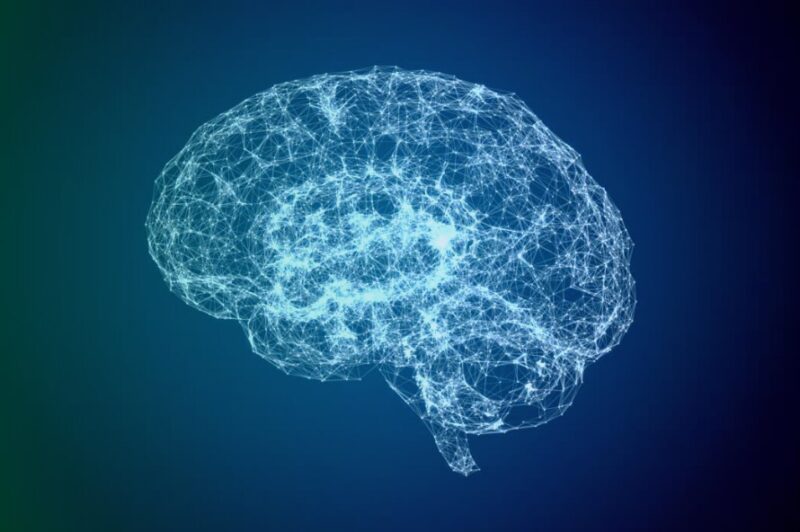 Quantum Entanglement Between Humans brain