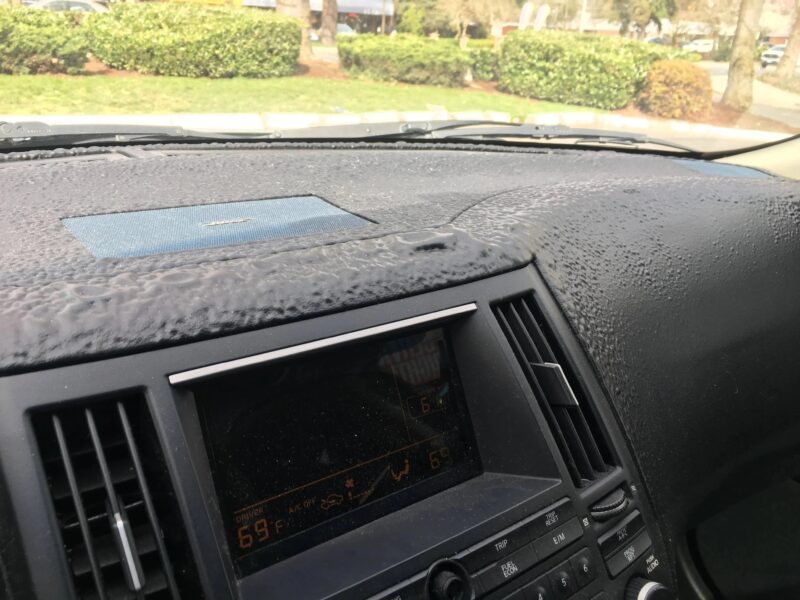 Long-Term Value of Preventing UV Damage